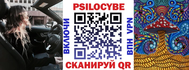 Псилоцибиновые грибы Magic Shrooms  купить наркотики цена  Куровское 